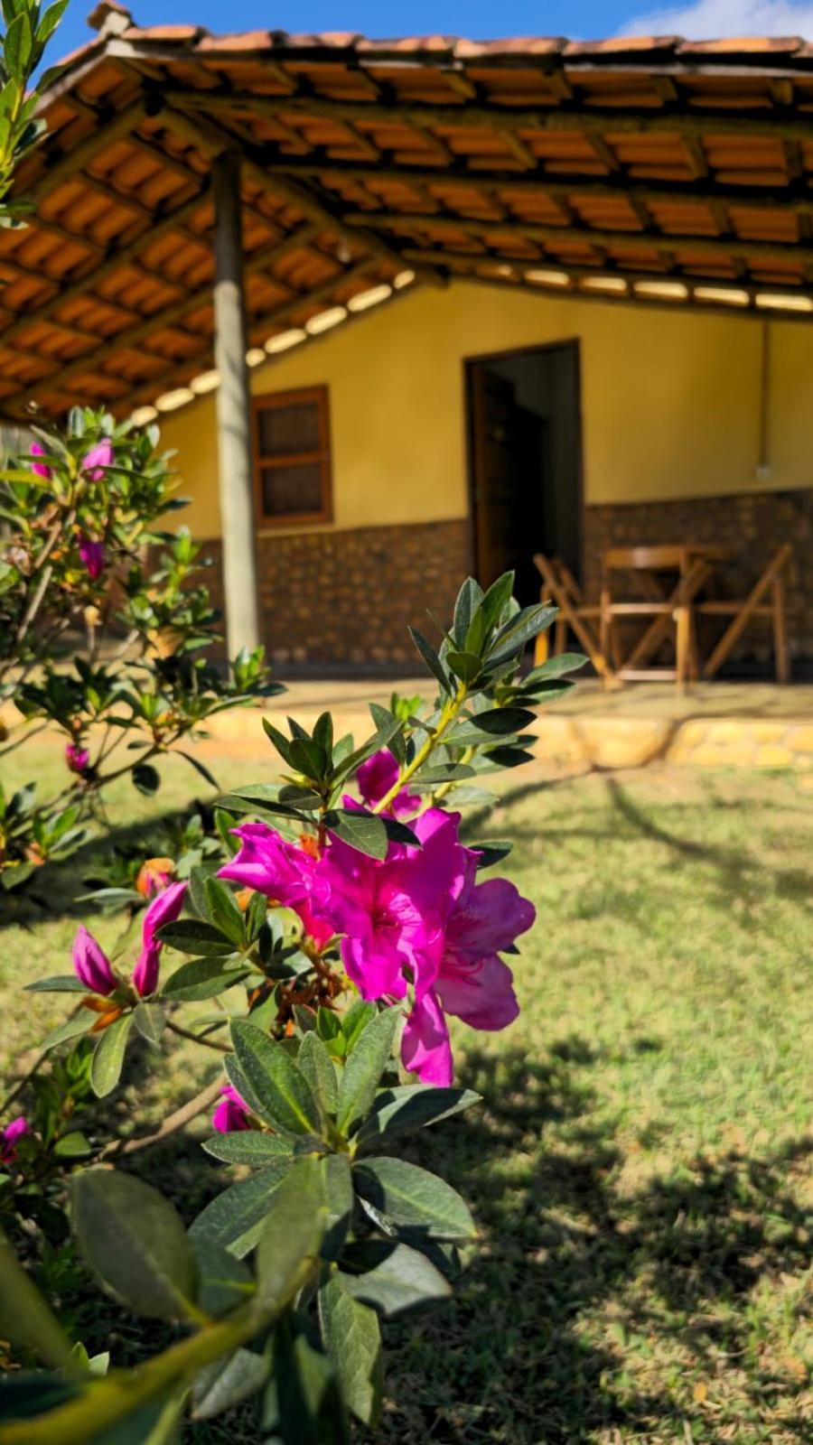 Pousada Velho Chico Vargem Bonita Dış mekan fotoğraf